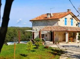 Villa Krug with 3 br and a pool immersed in nature near Buje