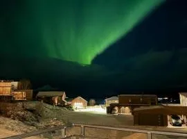 Modern townhouse in Lofoten