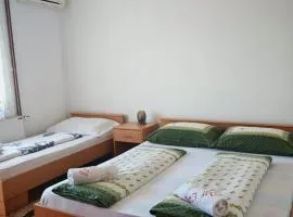 Vila Aleksandar - Dar Lux