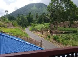Homestay Alina