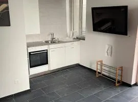 1-room studio apartment