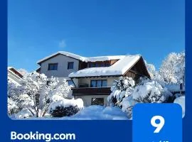 Gemütliche Ferienwohnung mit Terrasse, im Schwarzwald