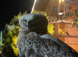 Dana luxury huts, pet-friendly hotel in Dana