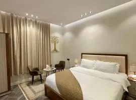 شقة استديو دخول ذاتي حي الوزارات