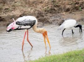 Nature's peak Udawalawa, hotell sihtkohas Nikawatawana