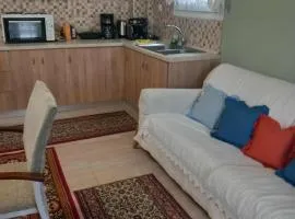 Alexander's Apartment