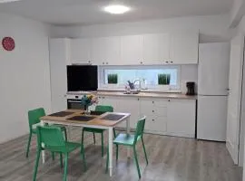 Vila Magurele 3
