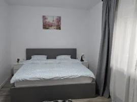 Casa Magurele 3