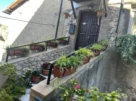La Casa Dei Fiori