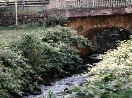 Nature stay in Alsace between stream and vineyard