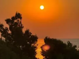 Sunset Luxury Apartment Shengjin