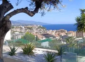 Villa Mont des Oliviers