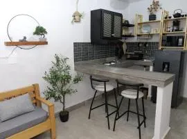 Departamento Refugio Sereno cerca de CU y nuevo hospital General