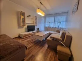 Airida Forest Apartment