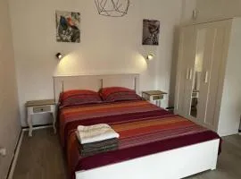 Apartament holiday fibra optica