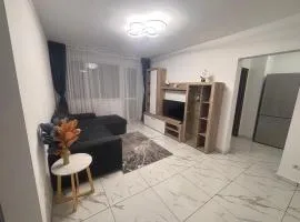 Apartament 2 camere Sector 1