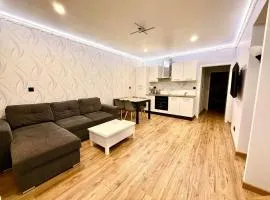 Appartement en centre-ville