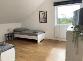 2 bedroom apartment with 4 beds in Pfaffenhofen PAF01