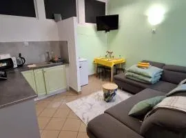 Studio 4 pokoje z klimatem przy parku