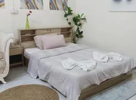 studio near al ain mall