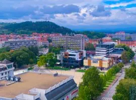 Stan na dan Leskovac