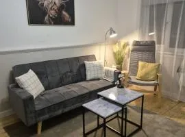 Modern apartment in Glasgow West End, free parking