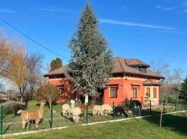 Family friendly house with a parking space Andrijasevci, Slavonija - 24939
