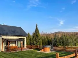 Domek Na Miodowej