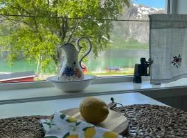 Cozy house with amazing view Lofoten and Vesterålen