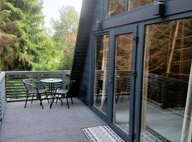 Котедж Синевир, hotel in Synevyr