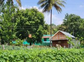 Tusker Valley Mudumalai by Privacy Homes