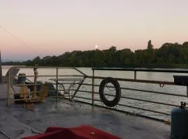 Péniche Avignon