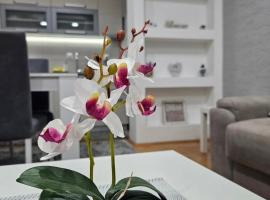 Apartman Vukota Pirot