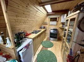 The house at the larssen