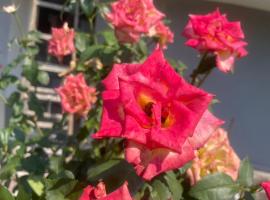 Madonna dell'ancora, ξενοδοχείο σε Sassuolo