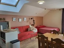 Appartement spacieux Au Petit Bois La Féclaz