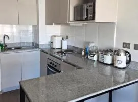 Concepción centro departamento acogedor
