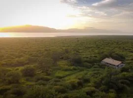AfriCamps at White Elephant Safaris