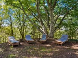 Se Ressourcer En Forêt