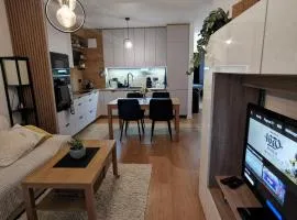 Apartament Pod Modrzewiem