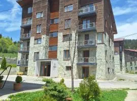 Bakuriani Villa Monte