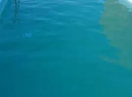 A Boa Vida