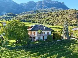 Apartments Haus Weinberg