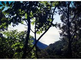 Sans Murs Dans la Nature
