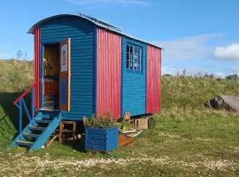 Cosy & Spacious Shepherd's Hut with Stunning Views