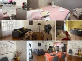 Relais des Arts, très spacieux et lumineux centre ville thouars