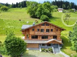 Chalet neuf La Marmotière - Vue sur la Montagne