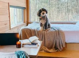 Postcard Cabins Big Bear, Outdoor Collection by Marriott Bonvoy