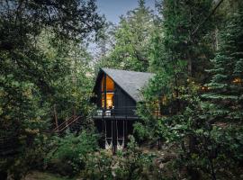 The Dusk House - An Idyllwild A-Frame、Pine Coveのホテル