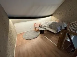 Central Gent Stay 2 Bedrooms 4 Guests